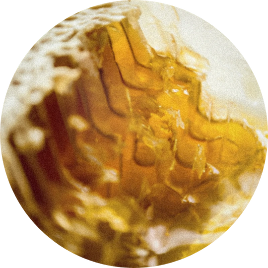 Honey Provence Firabs