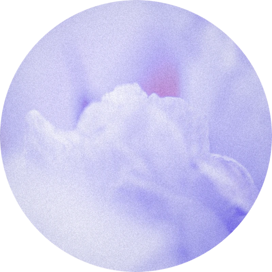 Irotyl