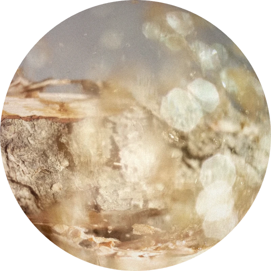 Isolongifolene