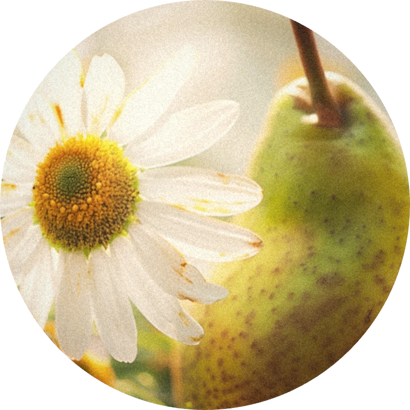 Isopentyrate