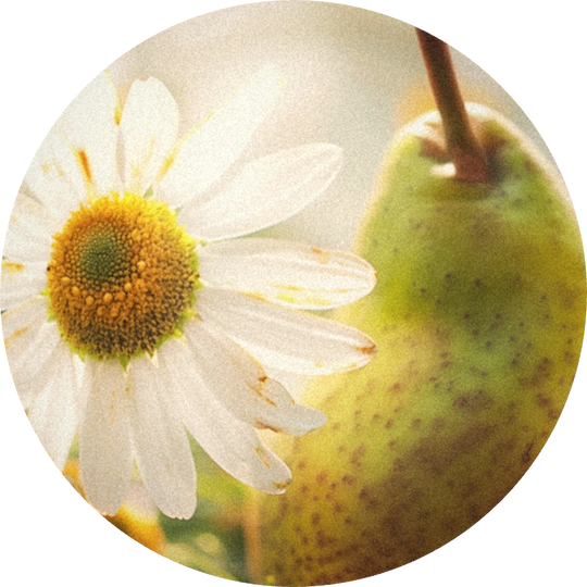 Isopentyrate