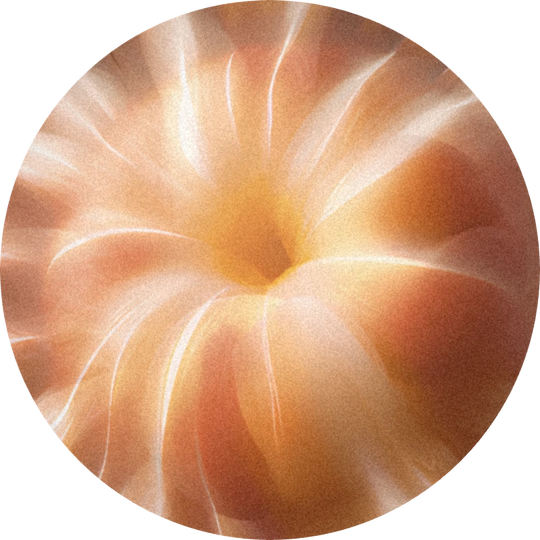 Jasmolactone