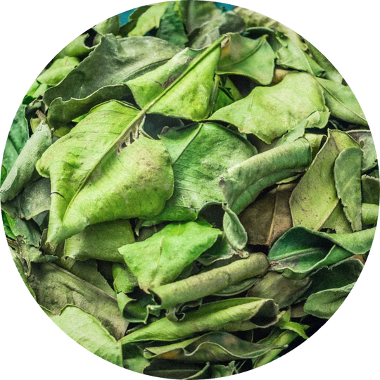 Kaffir Lime Leaves Oil
