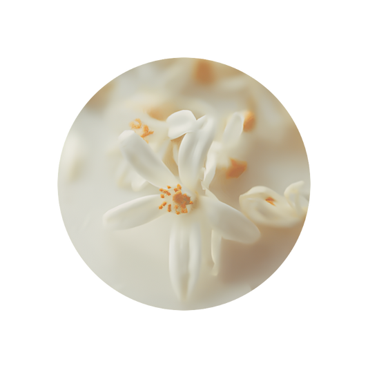 Lactone of Cis Jasmone