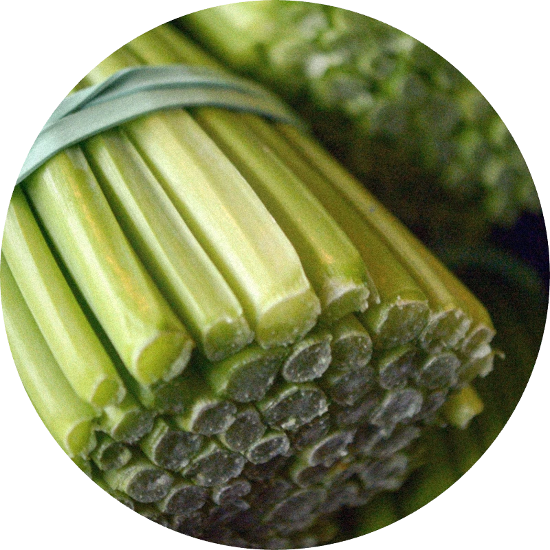 Lemongrass Oil India