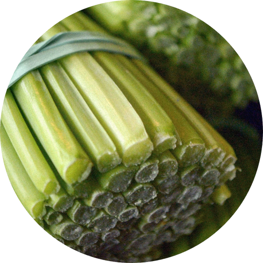 Lemongrass Oil India
