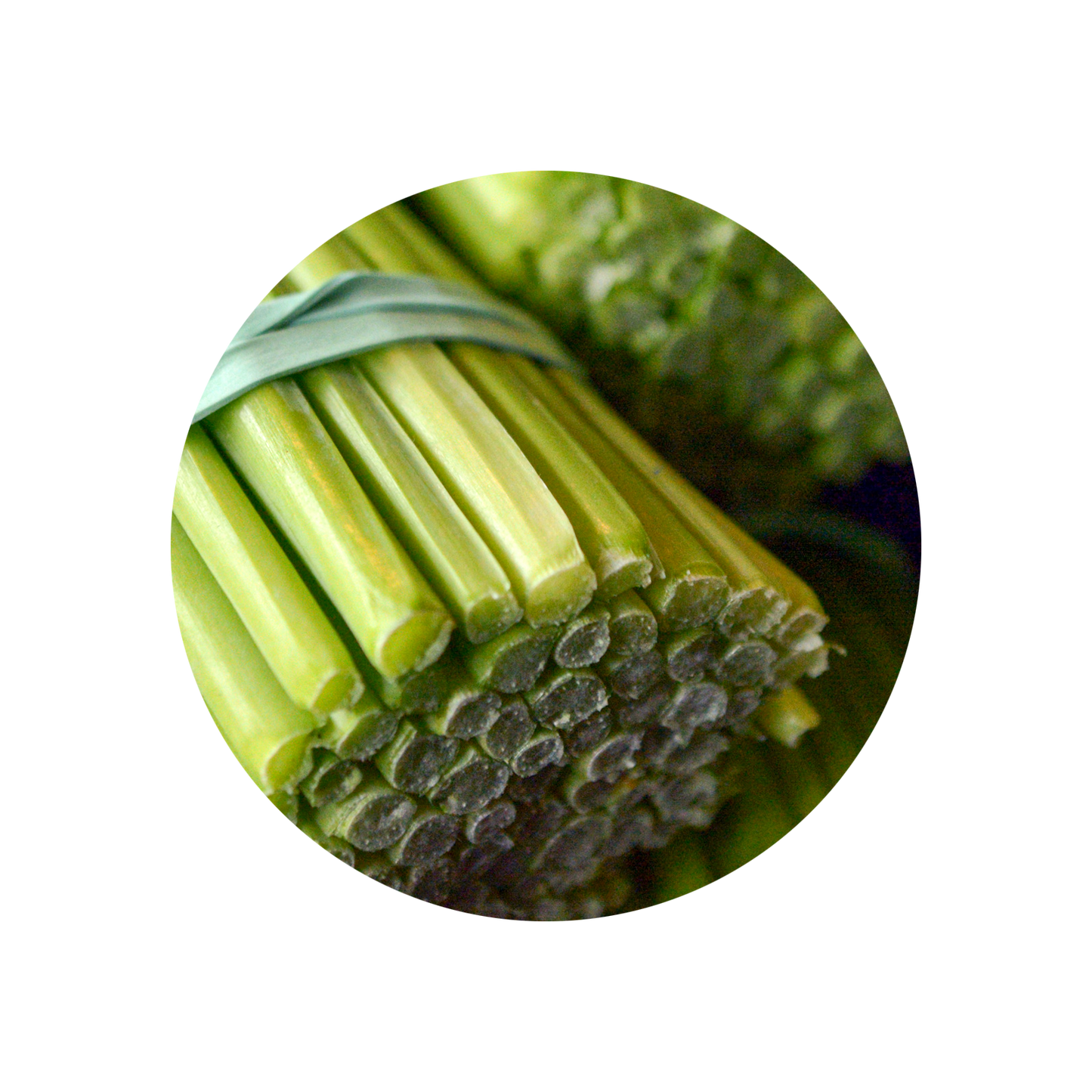 Lemongrass Oil India