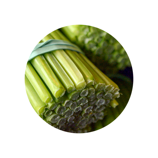 Lemongrass Oil India