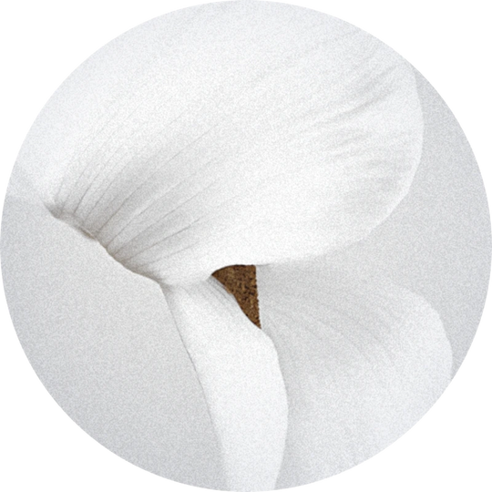 Lilybelle®