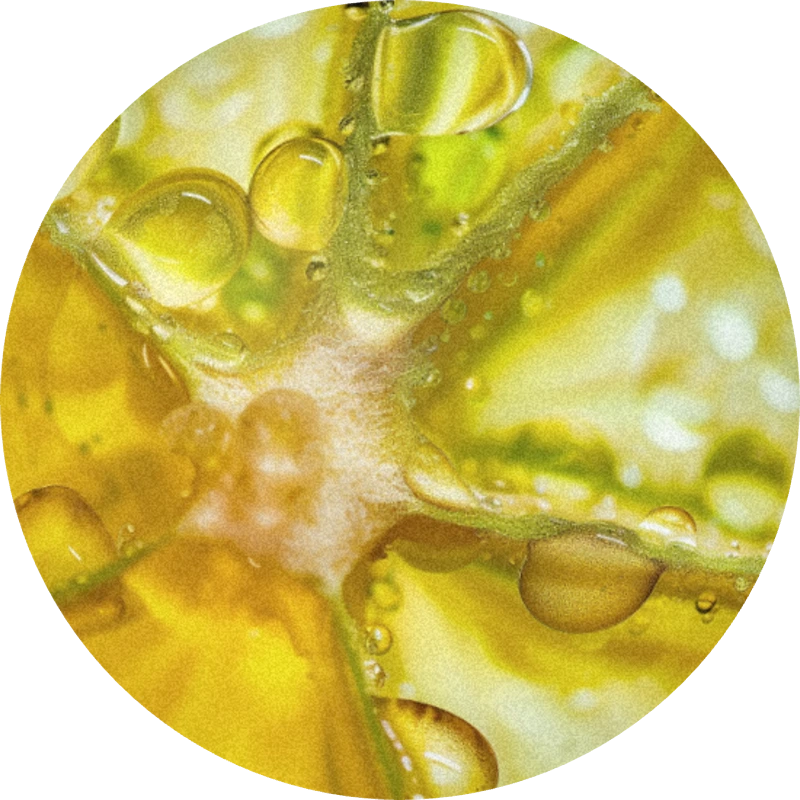 Lime Oxide