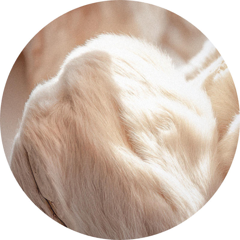 Luminide™ 25% (DPG)