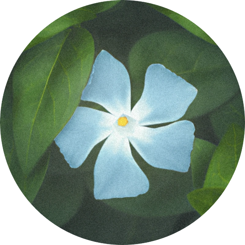 Lyral®