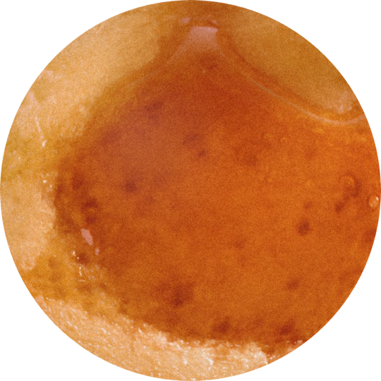 Maple Lactone (powder)