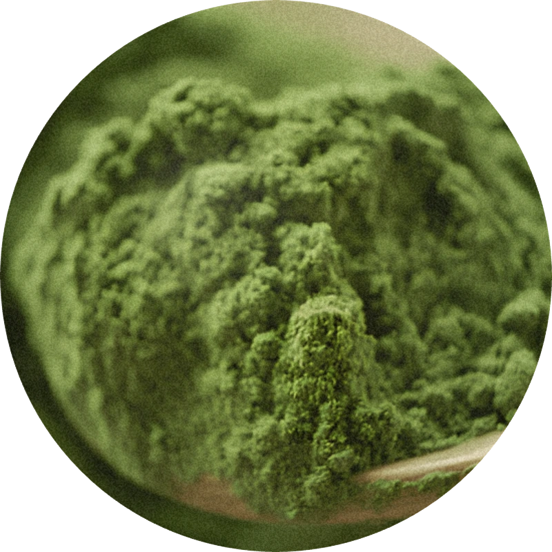 Matcha Ketone 5% (TEC)