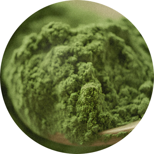 Matcha Ketone 5% (TEC)