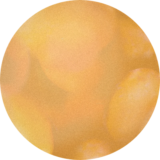 Mirabelle 2000 F