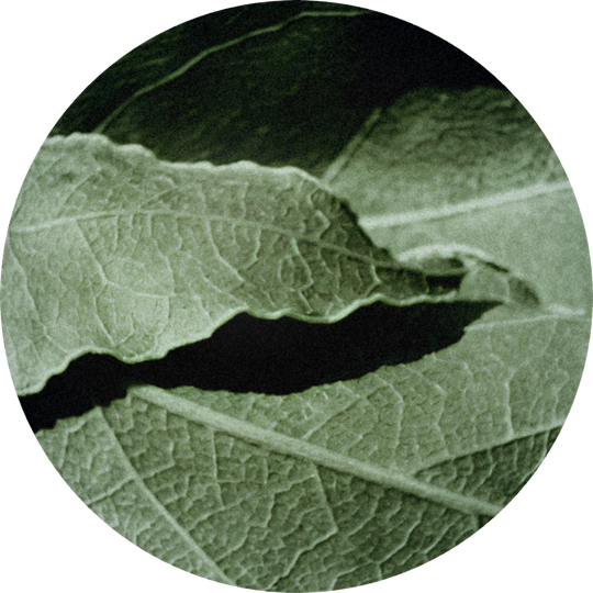 Myrcene