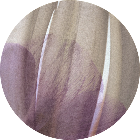 Mysore Acetate