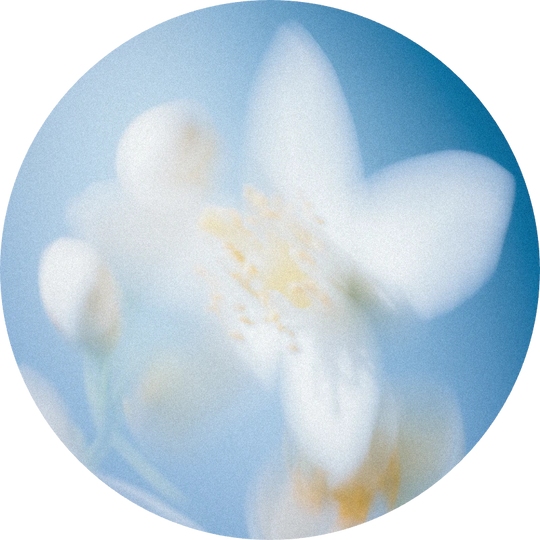 Nerolidol