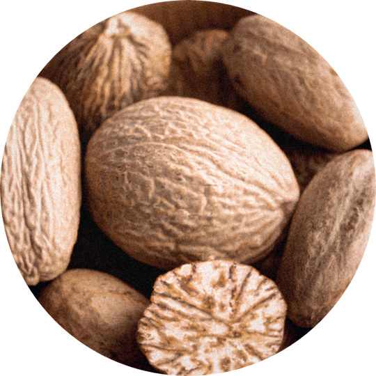 Nutmeg Oil SLC