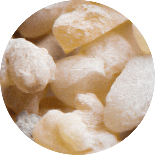 Olibanum Oil