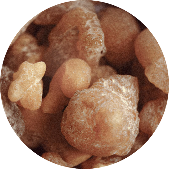 Olibanum Resinoid Extra 50% (DPG)