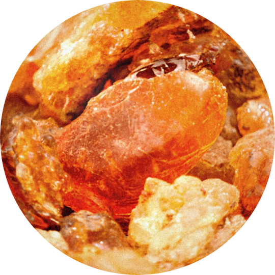 Olibanum Resinoide Vulcain 50% (ethanol)