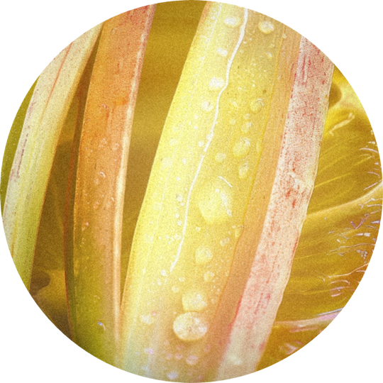 Pamplefleur®