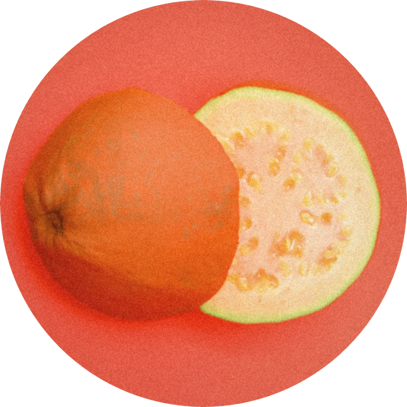 Paradisamide