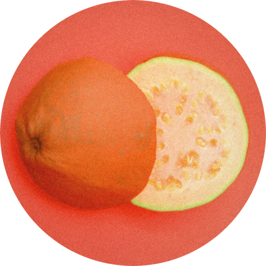 Paradisamide