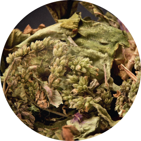 Patchouli Crude Organic (Madagascar)