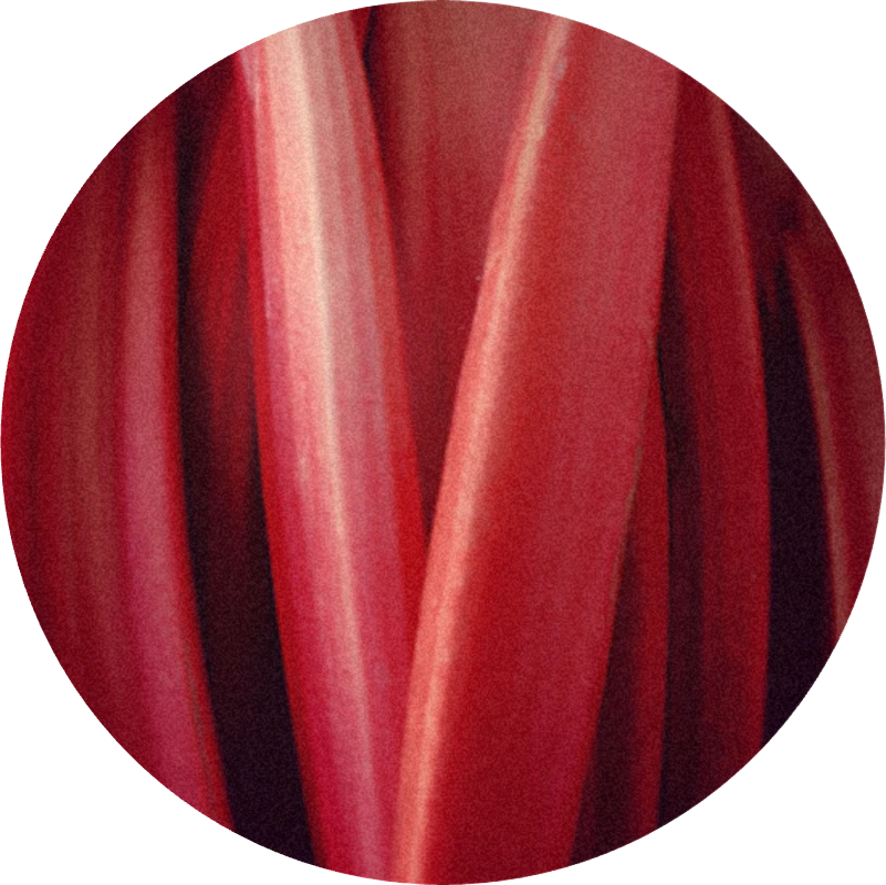 Rhuboflor