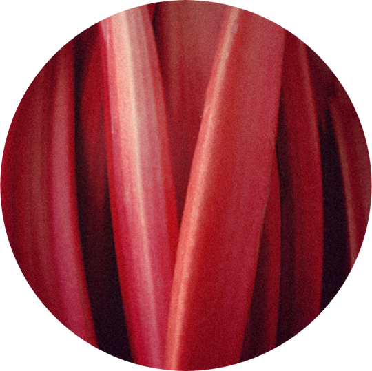 Rhuboflor