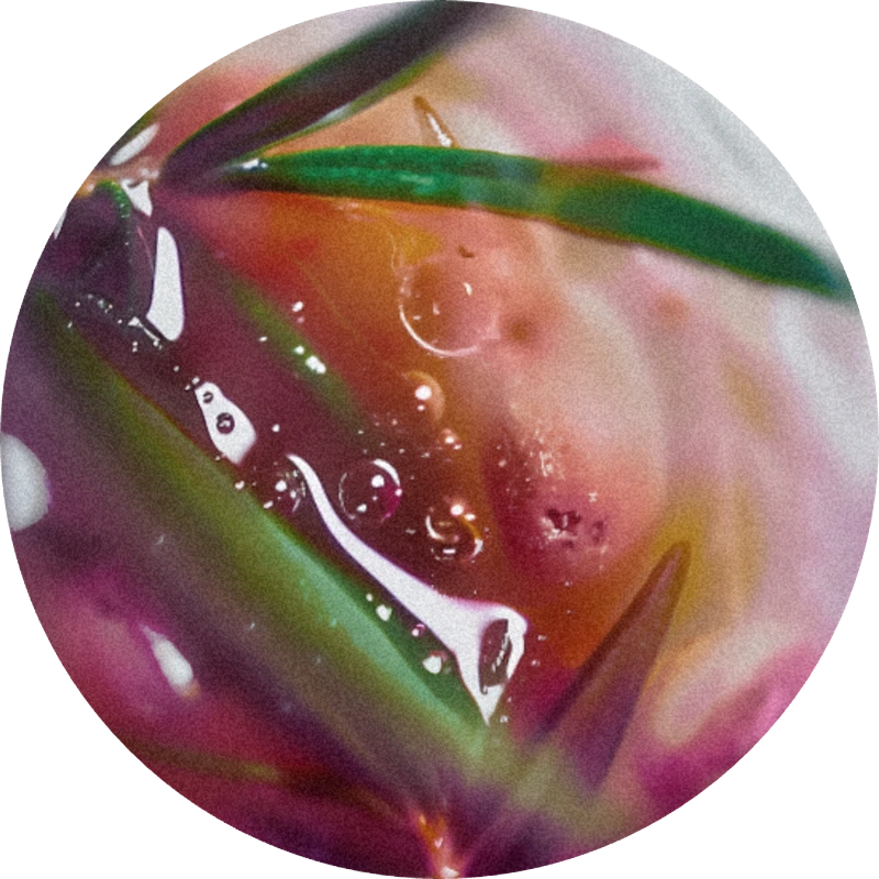 Romascone®