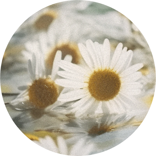 Romilat
