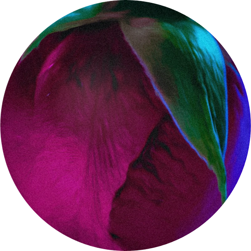 Rose Oxide Laevo