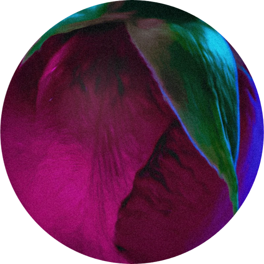 Rose Oxide Laevo