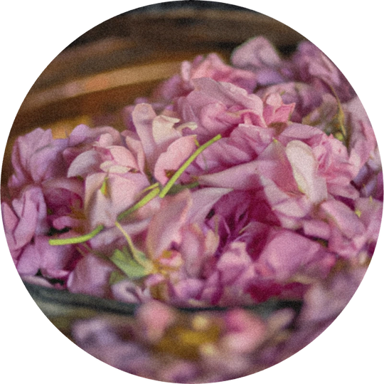 Rose Ultimate Extract™
