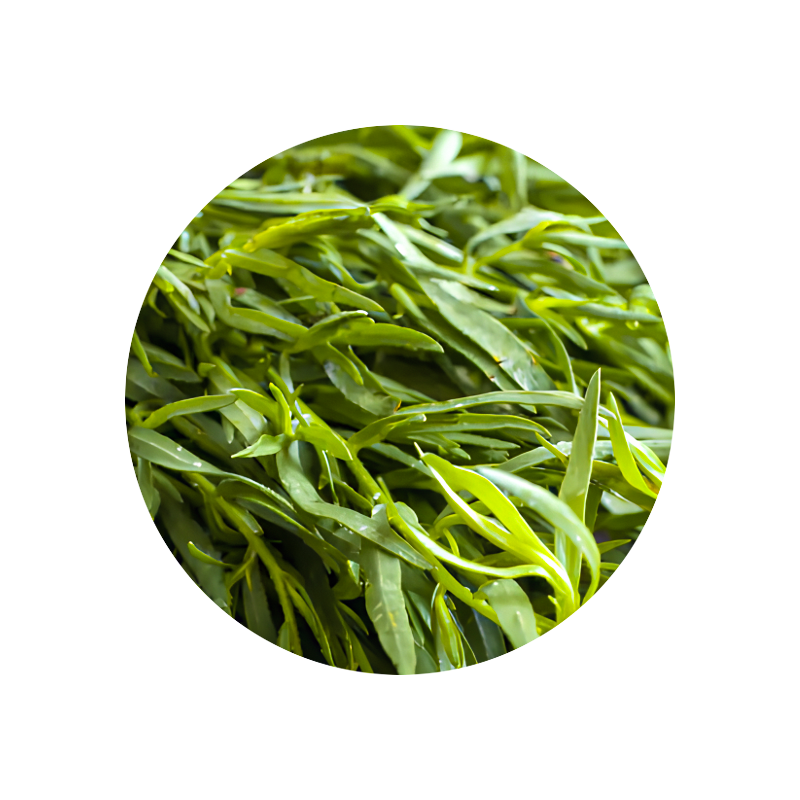 Estragon (tarragon) Oil