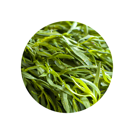 Estragon (tarragon) Oil