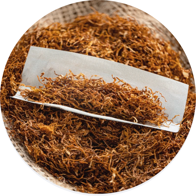 Tobacco Absolute MD