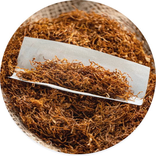 Tobacco Absolute MD