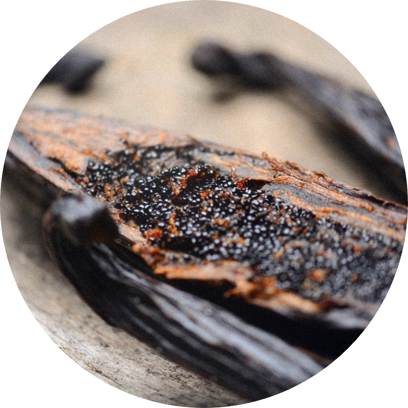 Vanilla Tahitensis SFE