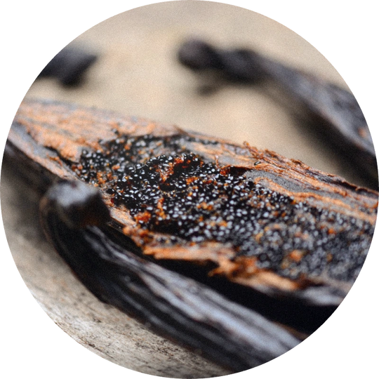 Vanilla Tahitensis SFE