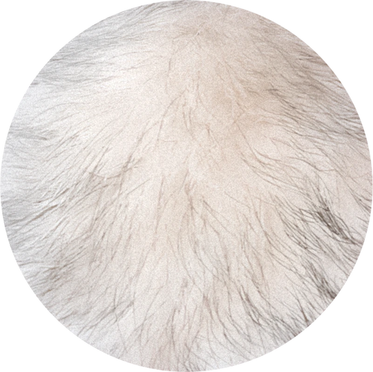 Velvione™