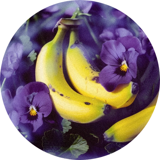 Violiff