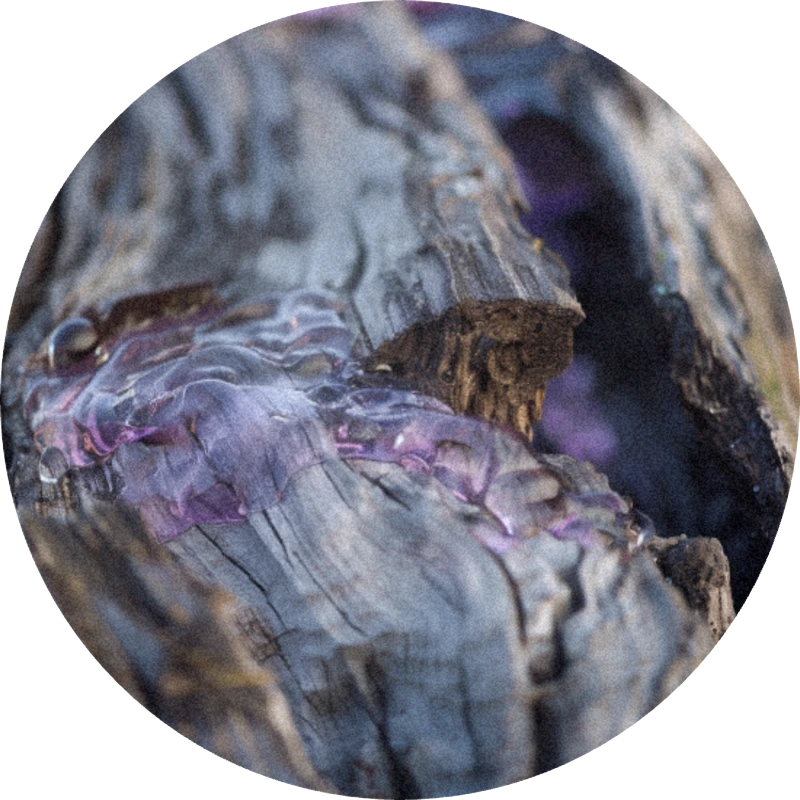 Wood Base 260106