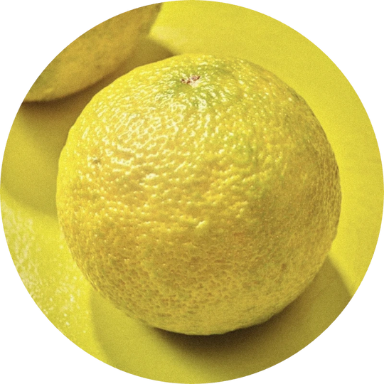 Yuzu Distilled