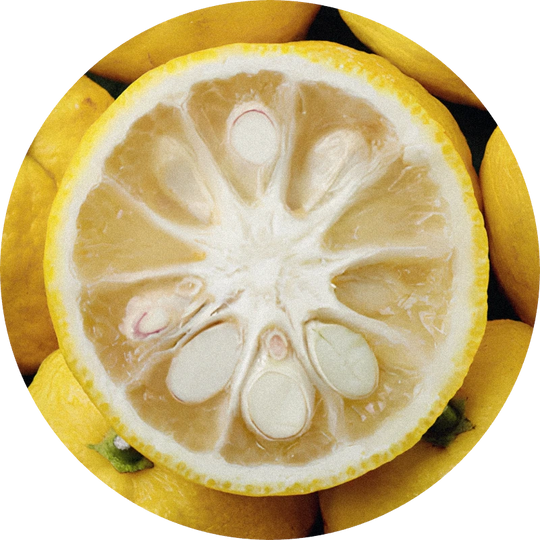 Yuzu Phase Oil