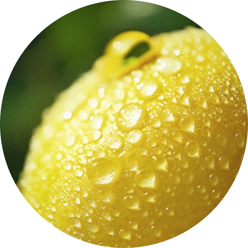 Yuzu Zest